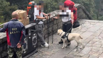 “视障人士带导盲犬爬泰山”引发争议 导盲犬基地回应