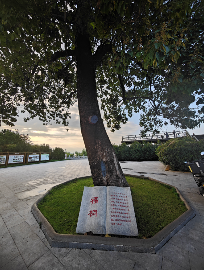 QQ20250920-070040.png