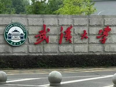 武大通报图书馆事件调查复核情况：决定撤销肖某瑫记过处分