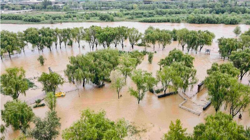 上游一夜大雨 西安灞河水位上涨 水流湍急