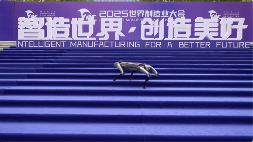 Vx6ScXaUQhZas335.png image.png