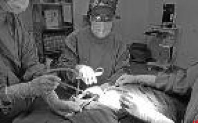 攀岩、旅行,抗癌路上她的生活依旧精彩