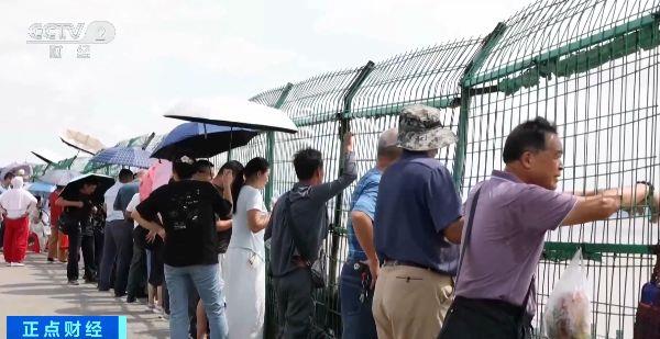 有机会形成“双潮叠加” 今年钱塘观潮不用等到八月十八
