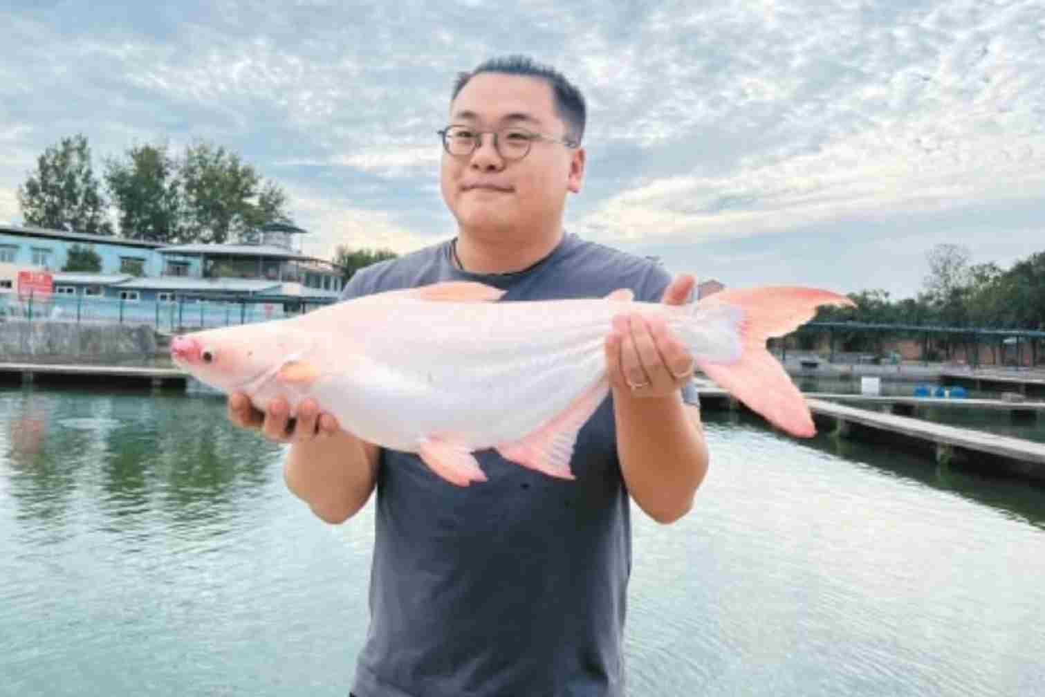 从“小众尝试”长成“特色产业” 西安“隐藏款”农产品“破圈记”
