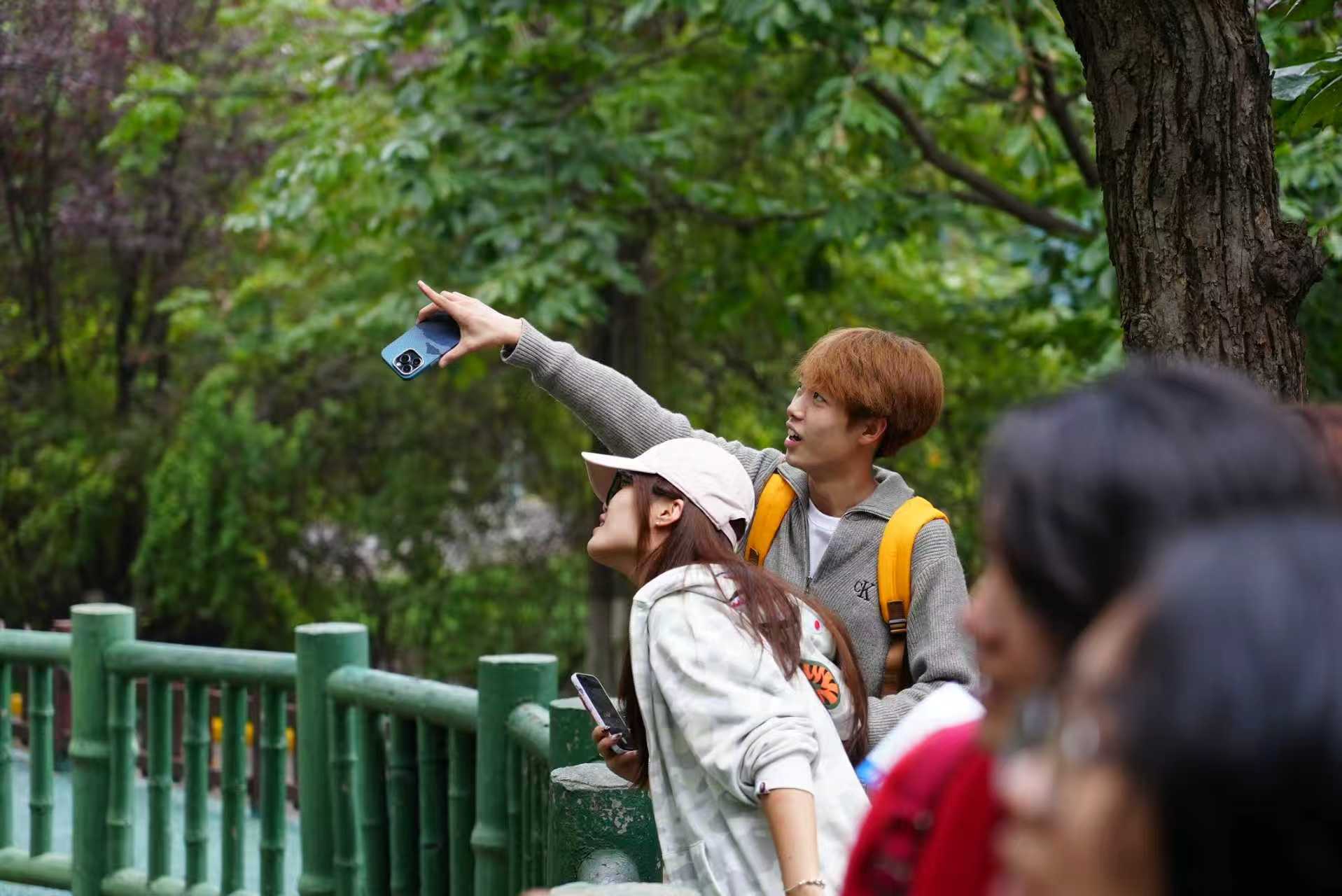 wYQh8XVsoyEmz520.jpg 微信图片_20250926141809_32_12.jpg