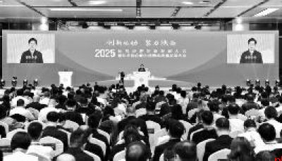 2025民营经济创新发展大会举行