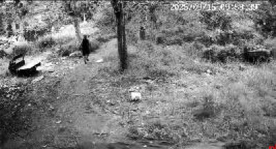 一年多接连死8头牛 养殖户怀疑是人为