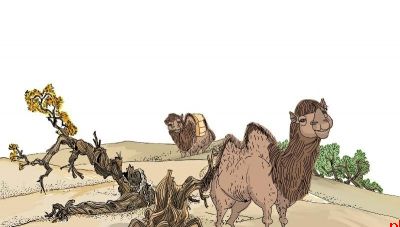 驼铃荡过胡杨秋