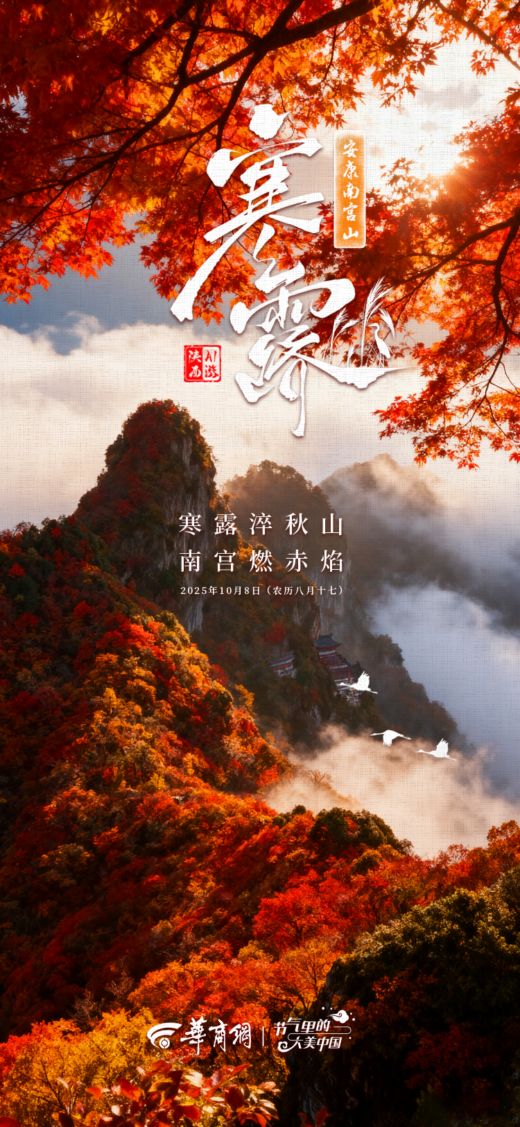 寒露.png