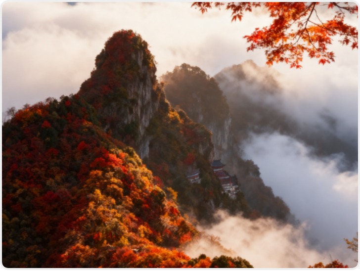 二十四节气|AI游陕西 寒露推荐：安康南宫山
