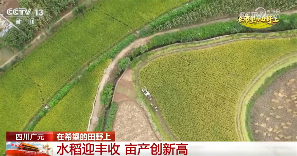 良机良技良法护航秋日“丰”景“科技+”为乡村产业振兴注入鲜活动能(图1)