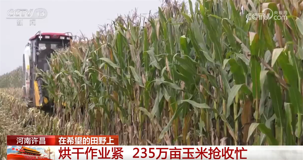 良机良技良法护航秋日“丰”景“科技+”为乡村产业振兴注入鲜活动能(图4)