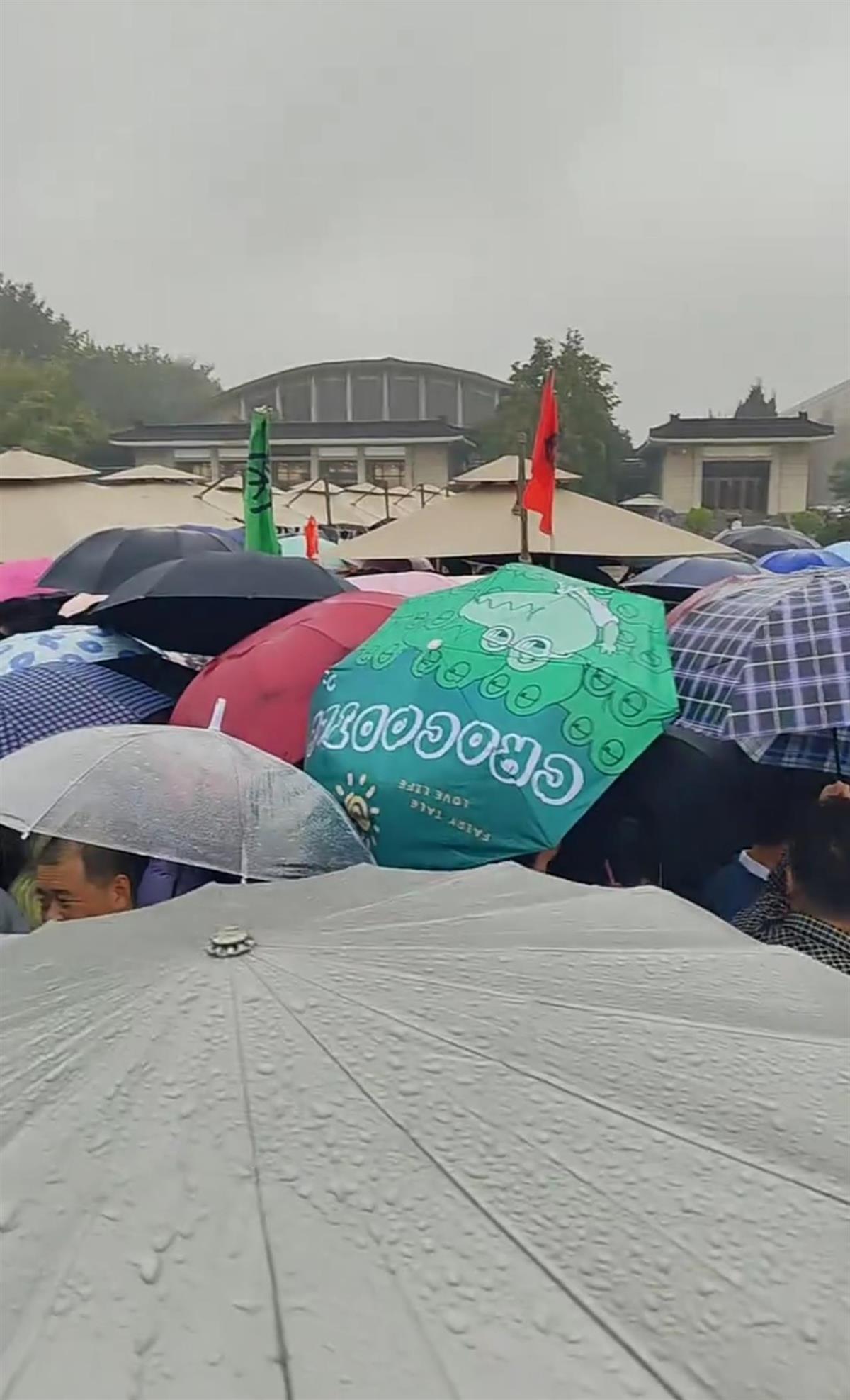 兵马俑景区开启“雨伞挤雨伞”模式 景区建议错峰出行