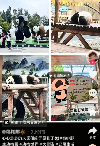 4VeoPcDuuKkfJcSj.png image.png