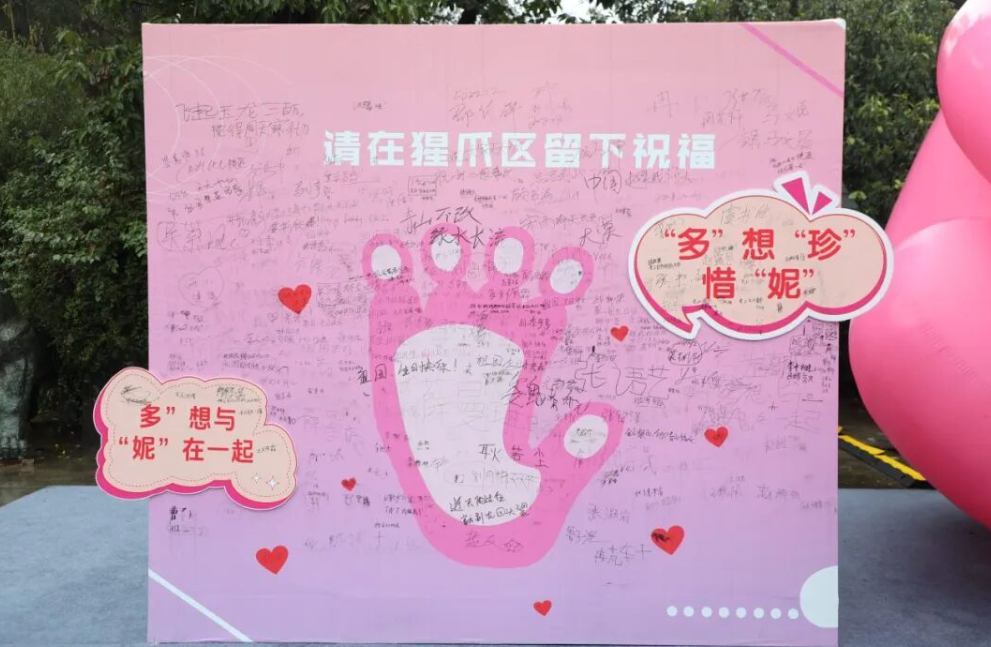 7KPoWqP0C6tCUHSD.png image.png