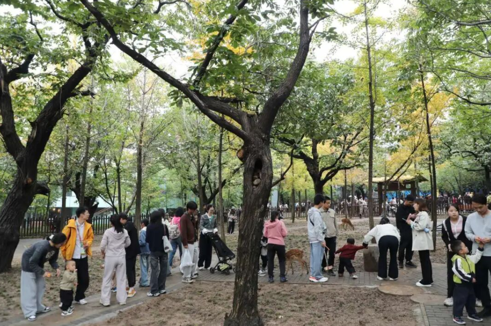 7v570UkD5O17l6k6.png image.png