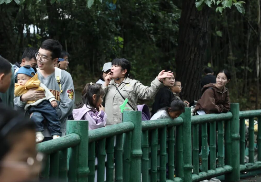 A8LDNevoADcrdomW.png image.png