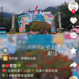 FpPzDYFWHMO8B1ps.png image.png