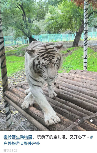 OSVpd84wrPTq6kPa.png image.png