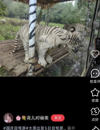 OkfDKfyRFsAcAECN.png image.png