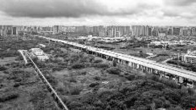 能源金贸高架桥全幅贯通