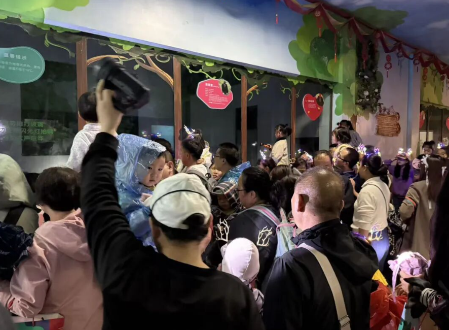 R35syvMpQ6D10sqX.png image.png