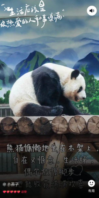 hH5jJptiMmpDs93S.png image.png