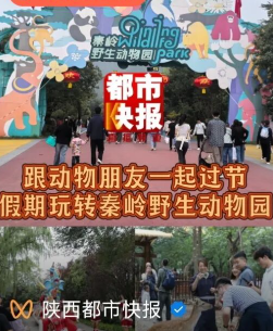 jcRQzRWA7xM7ItSl.png image.png