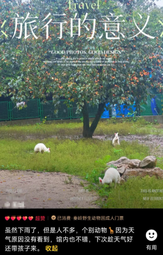 jiFXH9UvuARiDP0Z.png image.png