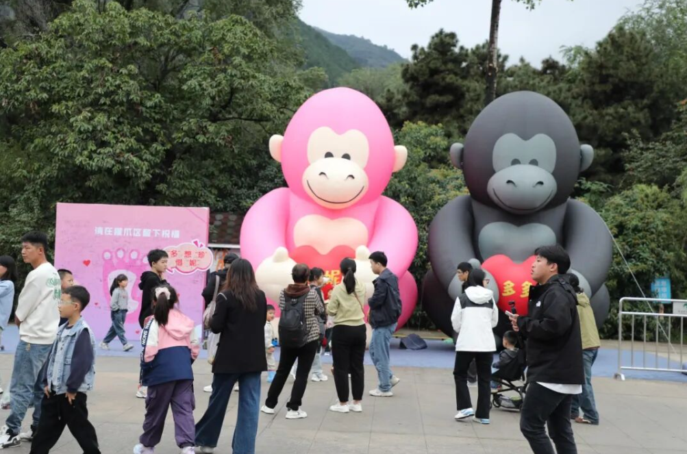 mYPlAVfUl6docLwY.png image.png