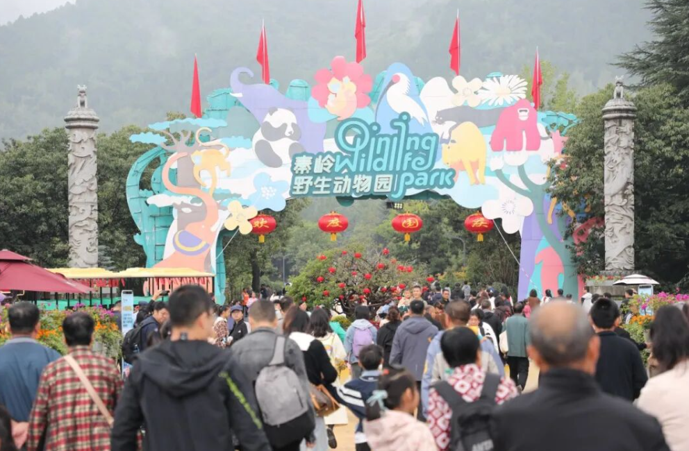 nfQWnOnpvBBmyj78.png image.png