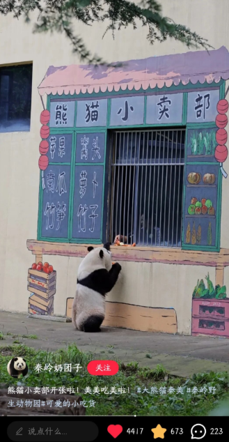 p5YbyyKE7ZRuJHdA.png image.png