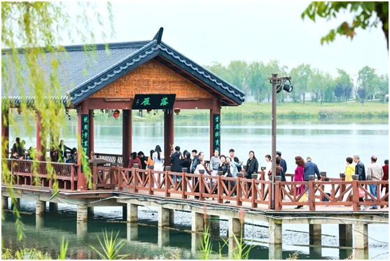 j0pQ3lROgy9r7pBS.png image.png