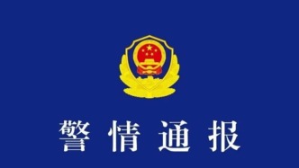 湖北宜昌警方：女子驾车撞伤狗后友人被殴打 打人者被拘留