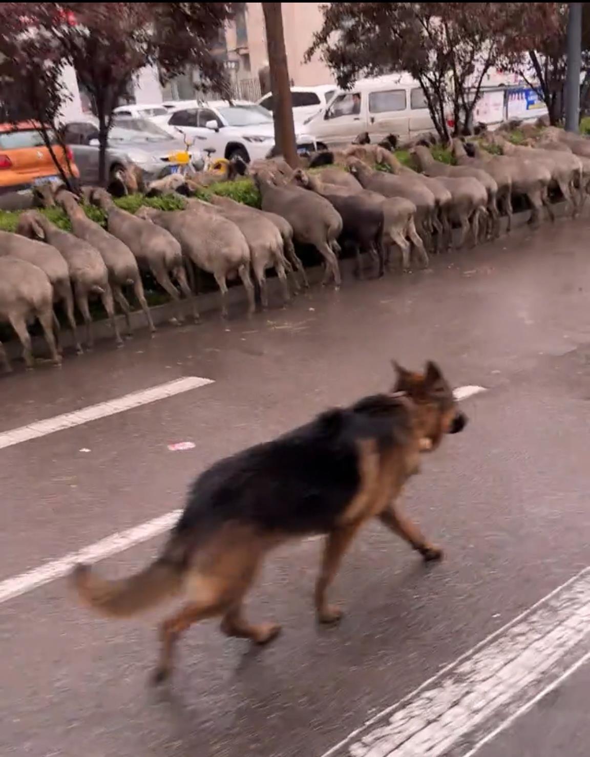 Screenshot_20251012_134821_com.huawei.himovie.loc.jpg