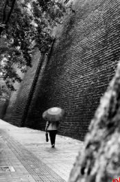秋雨今天终于要歇口气了