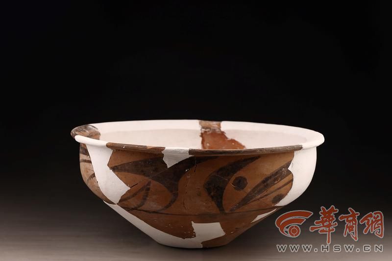 图十三 彩陶盆（H36①：10）