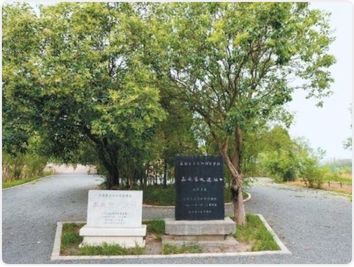 秦咸阳城遗址：咸阳宫阙今何在 探寻秦帝都的家国与日常