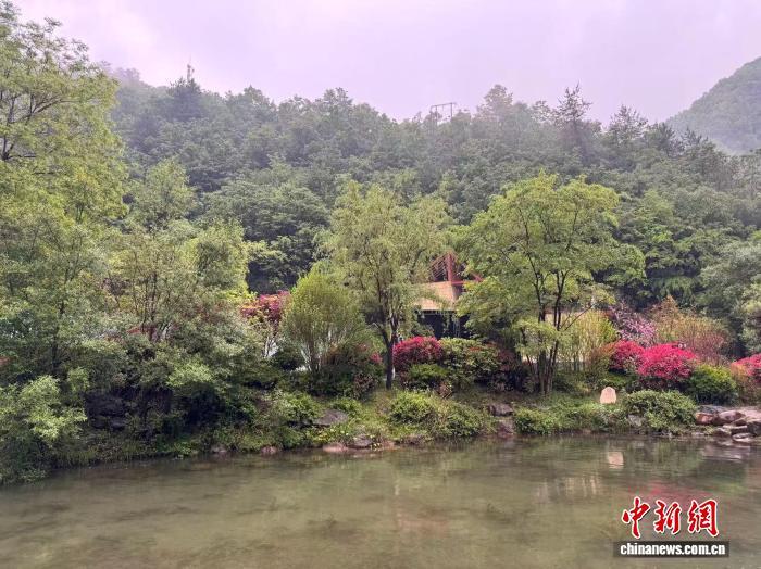 秦岭腹地一景。 李一璠 摄