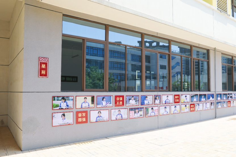 bcR52gHz2Fdmmegl.png image.png