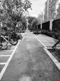 多处小区隐患已排除或有解决方案