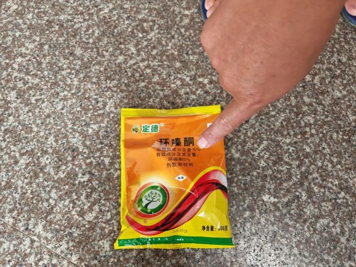 男子多次给220年珍贵古树投毒 竟是这个原因