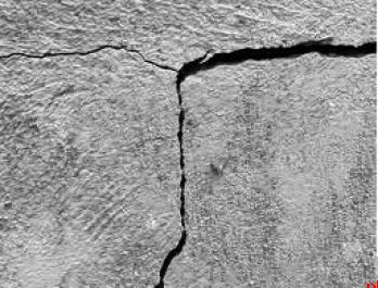 安徽一业主被逮捕