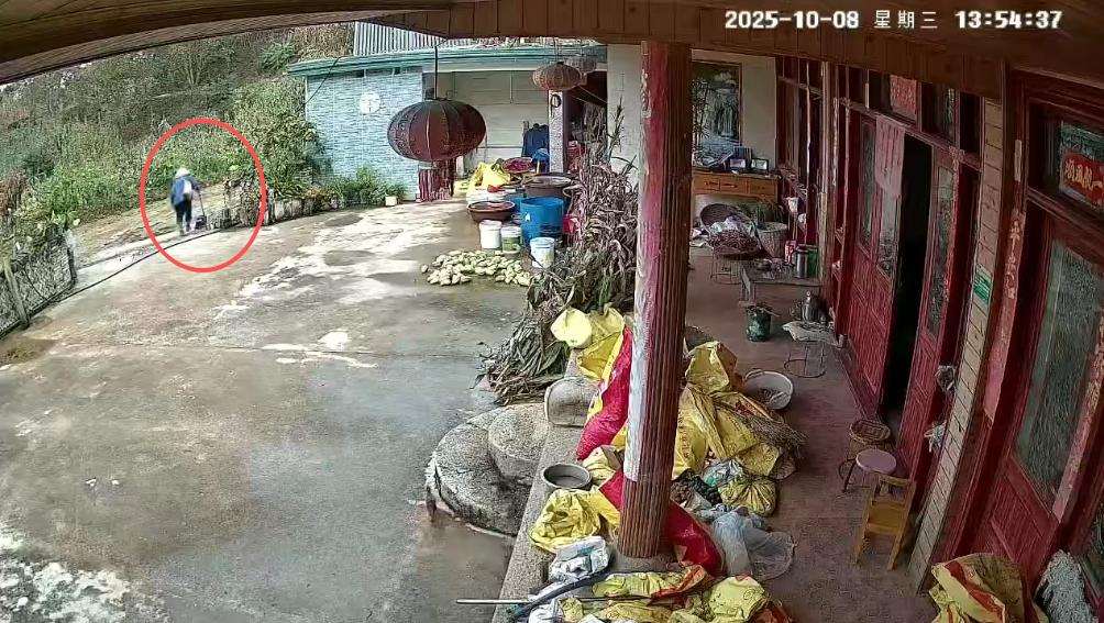 93岁老人进山失联 两天后发现他倒挂在树杈上苦撑