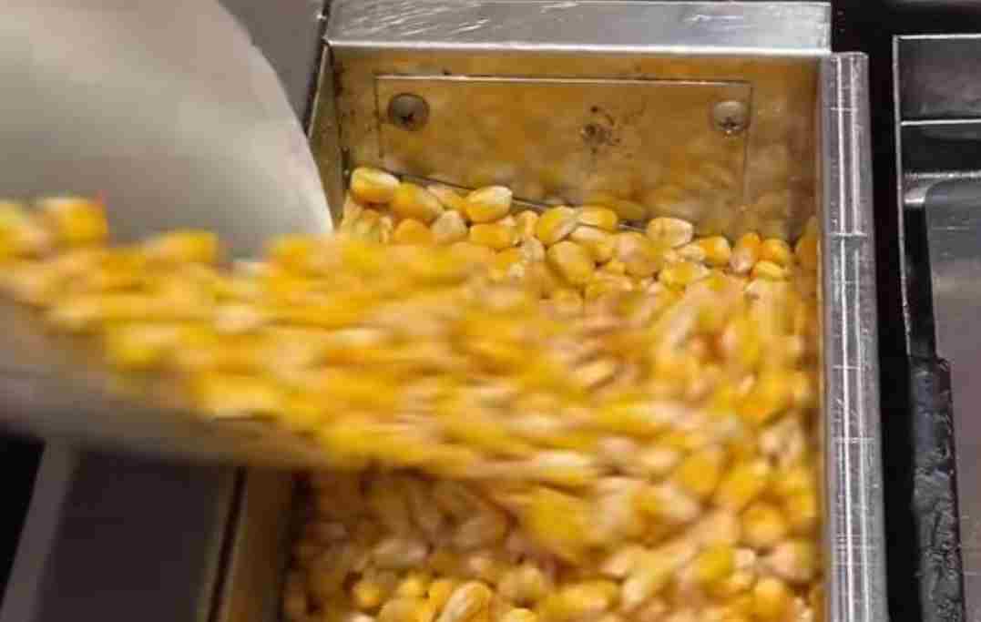 烤肉店用玉米做燃料引热议 专家：陈化粮也不能随便烧