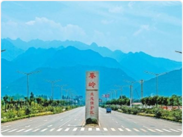 守护祖脉秦岭三年行动——陕西累计完成造林任务395.16万亩