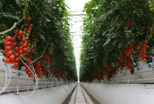 G2KGlMIkNGZdDUfm.png wechat_2025-10-25_120635_472.png