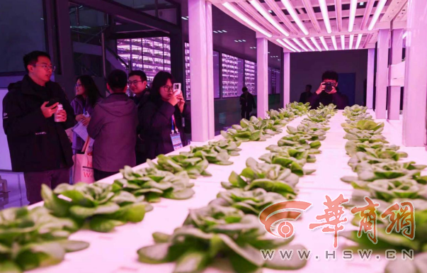wechat_2025-10-25_110507_673.png