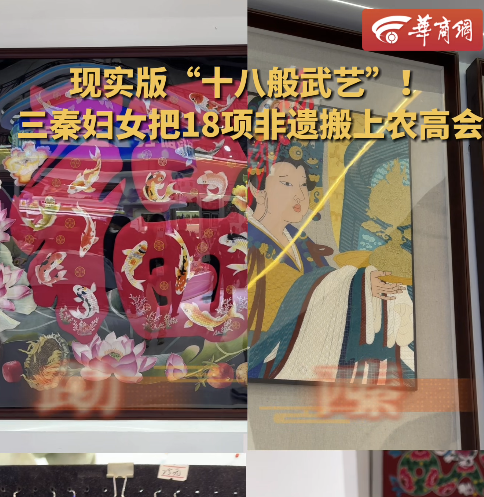解码杨凌农科城创新实践丨现实版“十八般武艺”！三秦妇女把18项非遗搬上农高会