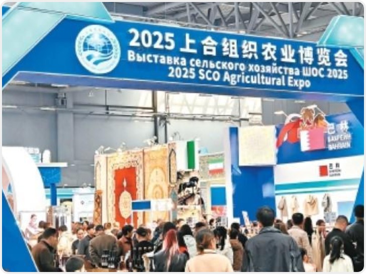 海外商品汇聚 农高会上异域珍品走俏